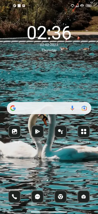 Couple Swan - Screenshot 2