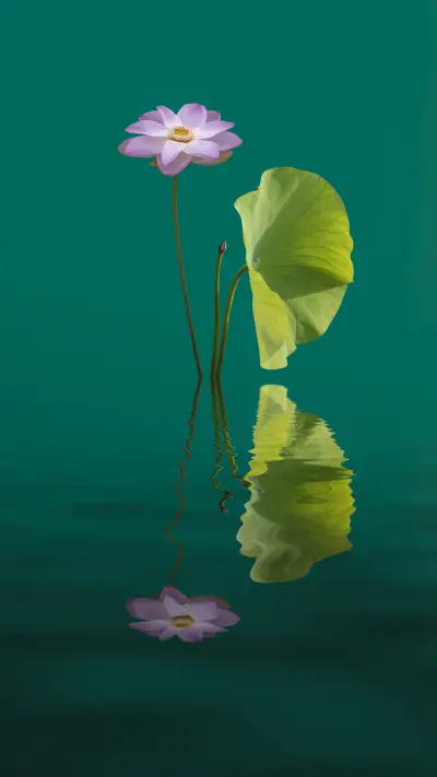 The fate of li bai and lotus