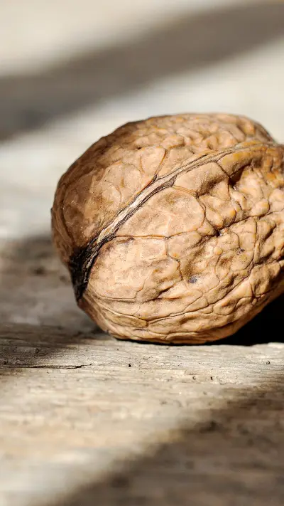 Shadow of time (4) - Screenshot 1