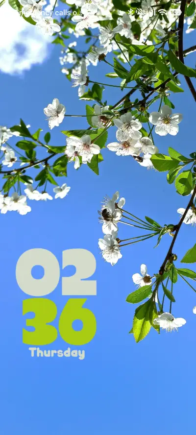 White Flowers