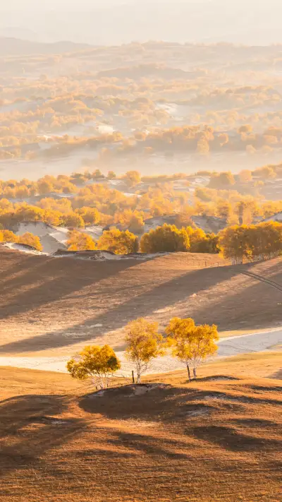 The nearest pasture to Beijing 56