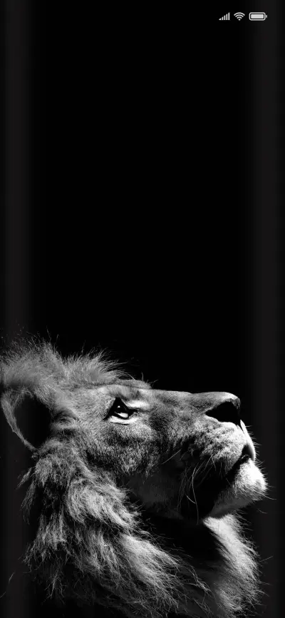 Black white quo - Screenshot 1