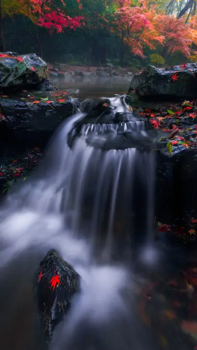 Good things turn into frost and happiness falls from Heaven