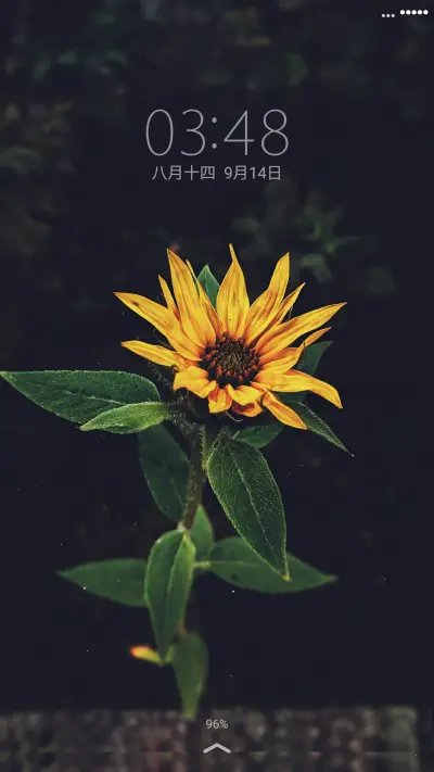 flowers - Screenshot 1