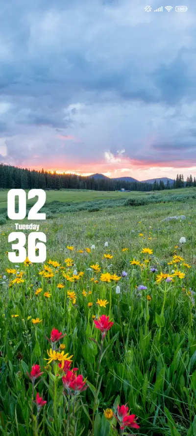 Flowers THEME for Xiaomi MIUI HyperOS