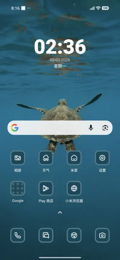 Turtle - Screenshot 2