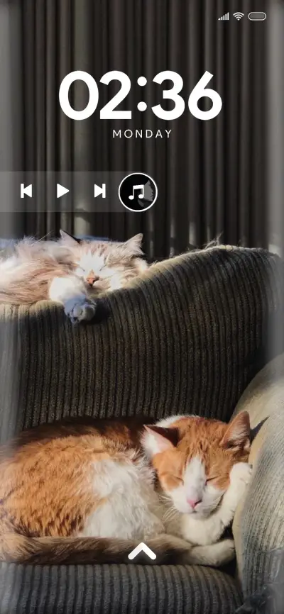 Cute_Cat_Two - Screenshot 1
