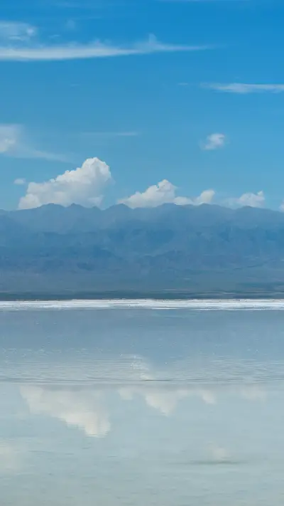 Life will go to a bi