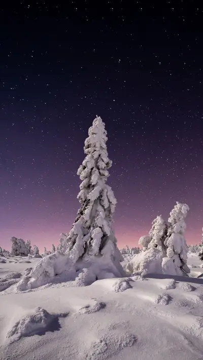 Where did xiaoxue come from 3