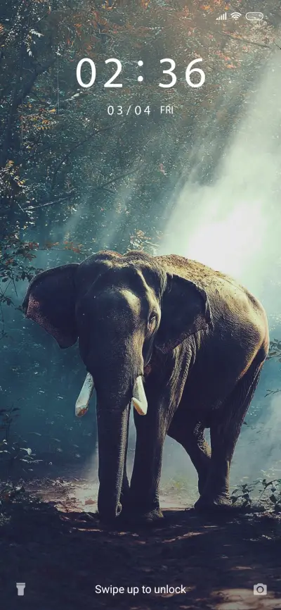 Elephant Pride - Screenshot 1