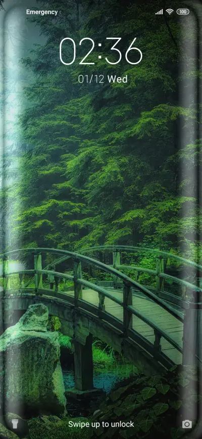 Bridge_Forest
