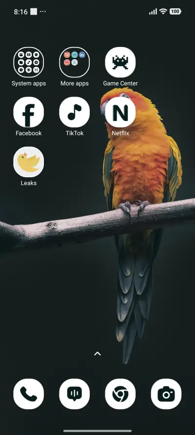 Sunset Parrot - Screenshot 3