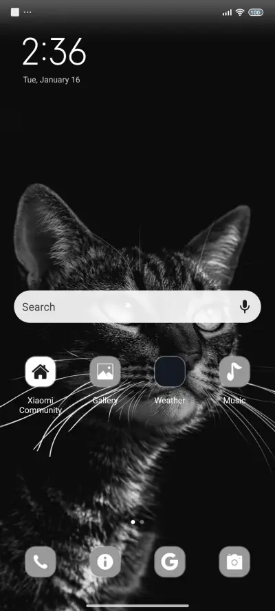 Black Cat - Screenshot 2