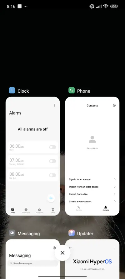 Cat - Screenshot 4