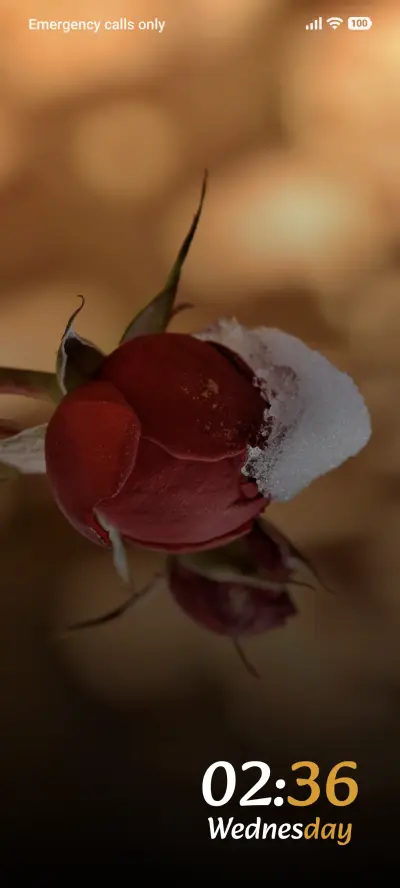 Snow Bud - Screenshot 1