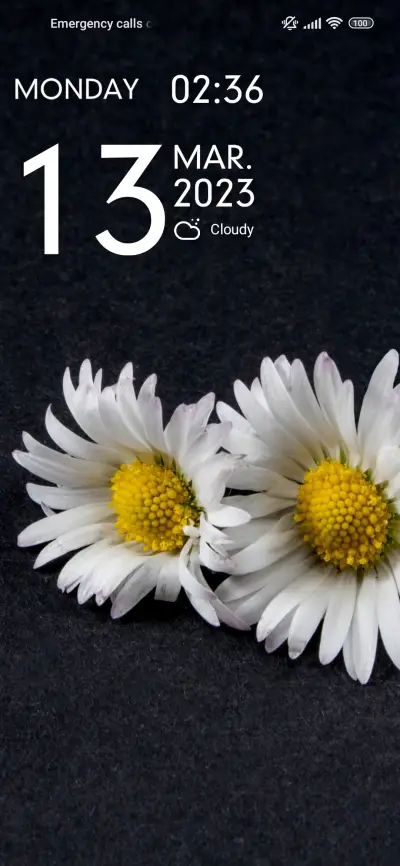 daisy pair - Screenshot 1