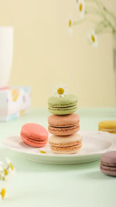 Multi Flavor Macaron on Cardboard