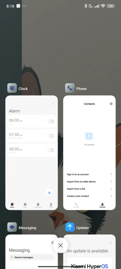 Peekaboo Cat - Screenshot 4