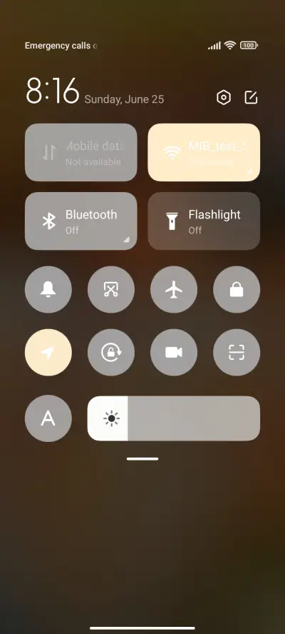 Girls and Cats - Screenshot 4