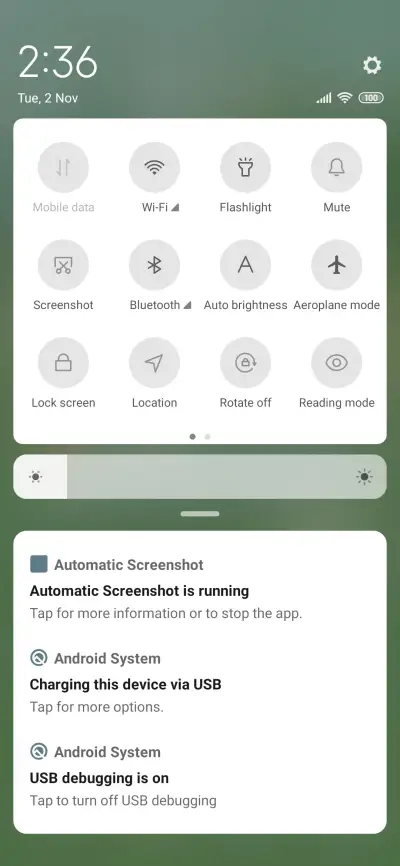 Bear spring - Screenshot 5