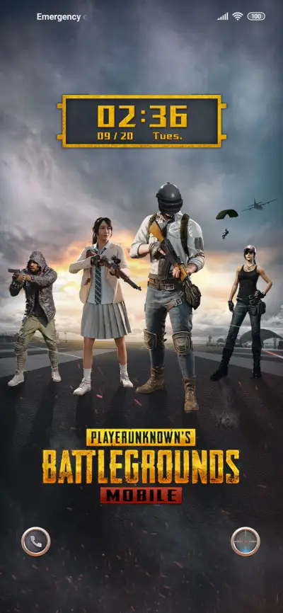 PUNBM airport - Screenshot 1