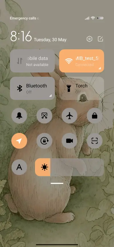 Painting rabbit - Screenshot 5