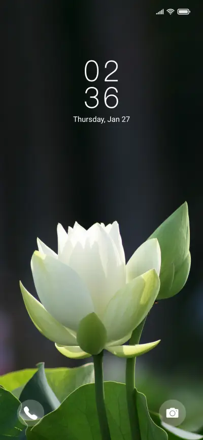 Summer lotus eye THEME for Xiaomi MIUI HyperOS