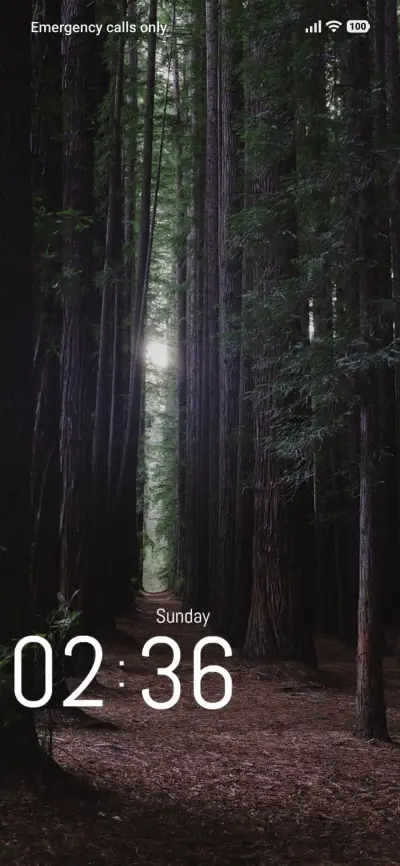 Tree Forest THEME for Xiaomi MIUI HyperOS
