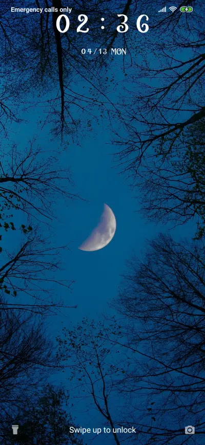 NightForest_3MDP - Screenshot 1