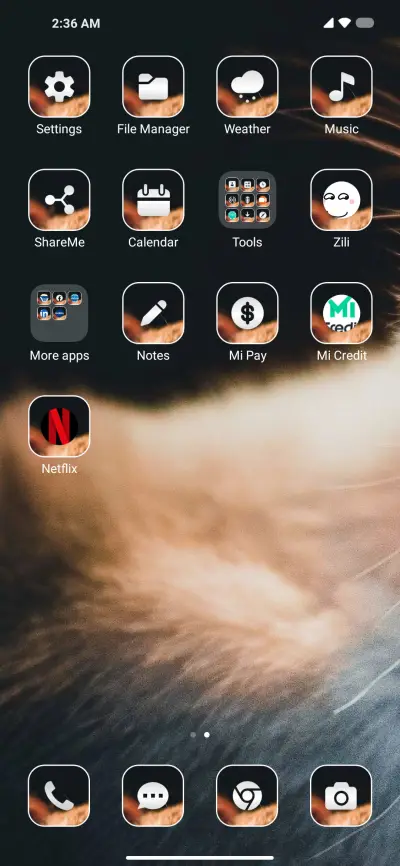 Wild Cat - Screenshot 3