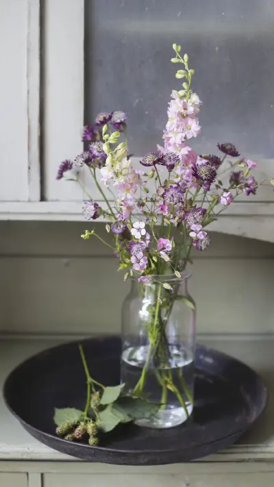 These flowers can repel mosquitoes 9