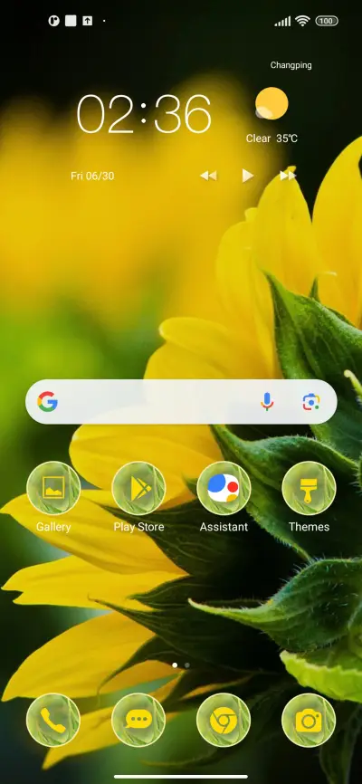 sunflower close - Screenshot 2