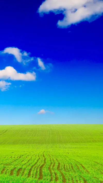 Grassland under the blue sky - Screenshot 1