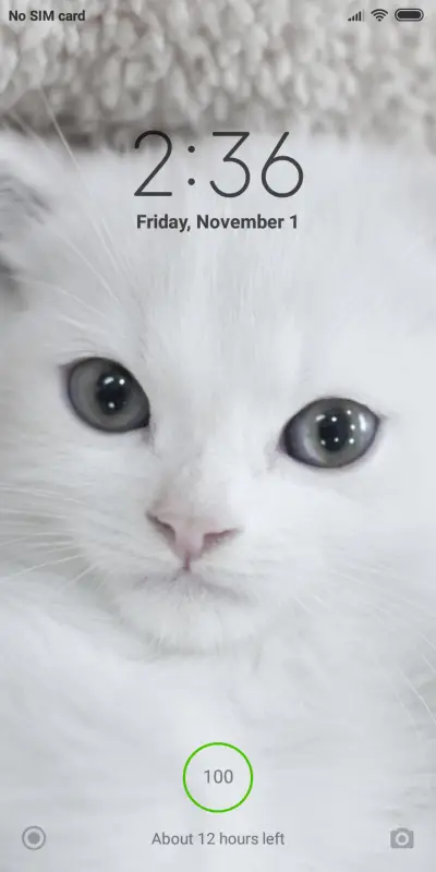 Official MIUI Theme_12 - Screenshot 1