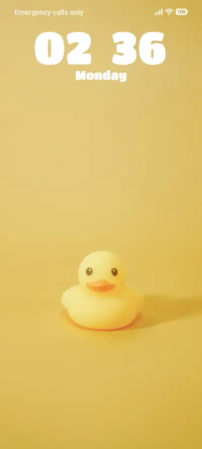 Rubber Ducky
