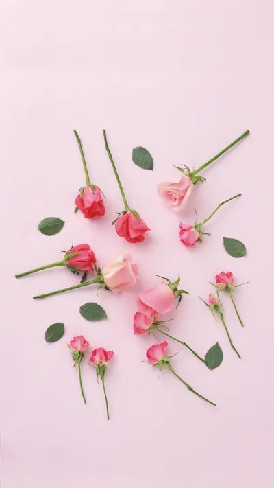 The meaning of different colored roses 91