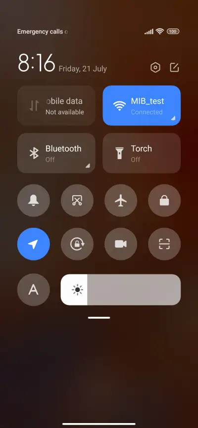 flower - Screenshot 5