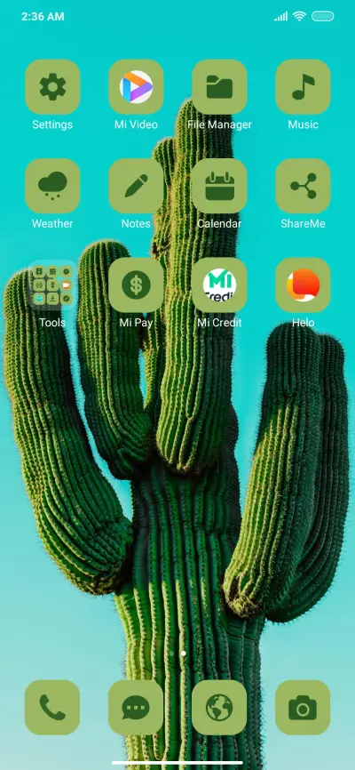 Plant Cactus - Screenshot 3