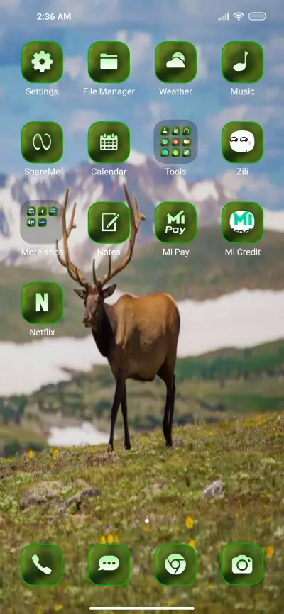 Wildlife nine - Screenshot 3