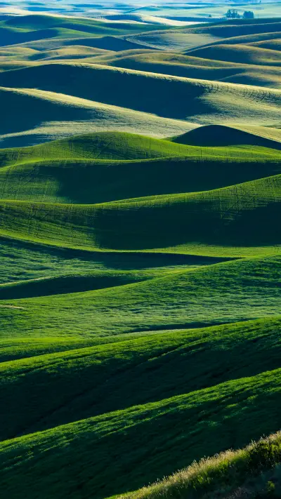 Green grass and blue sky