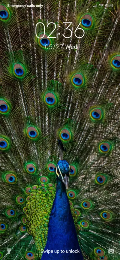 Peacock_3MDS - Screenshot 1