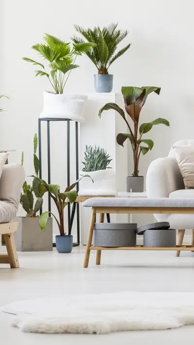 Teach you how to remove formaldehyde 18