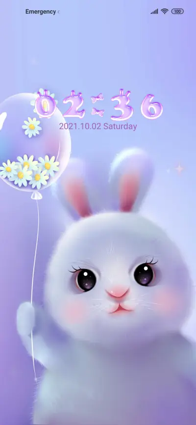 Cute bunny
