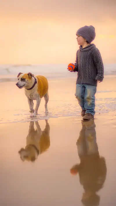 international_dog (1)