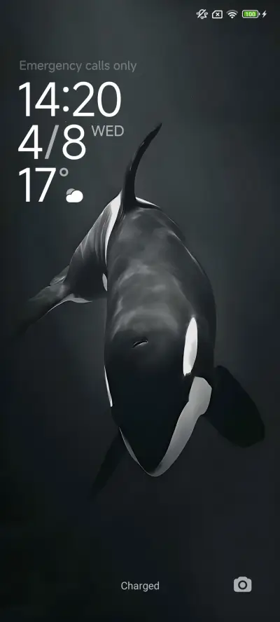 ORCA - Screenshot 1