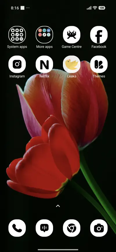 Velvet Tulip - Screenshot 3