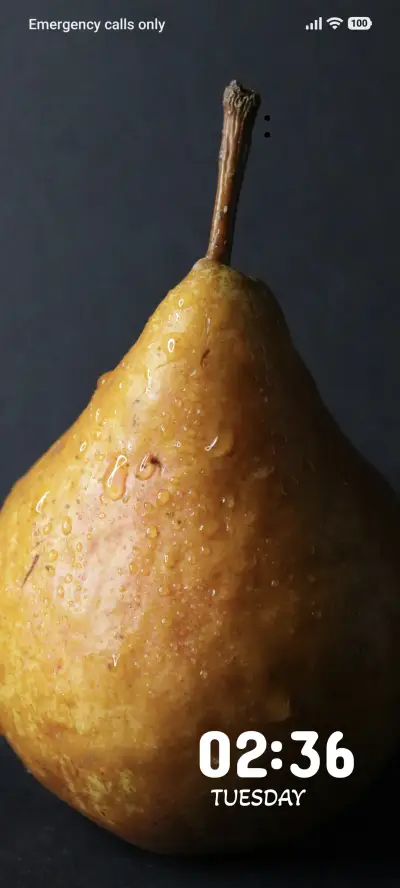 Elegant Pear
