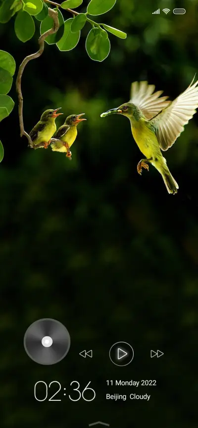 Wildlife seven - Screenshot 1