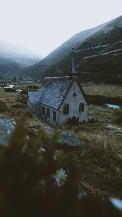 international_nature (3)