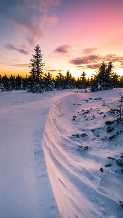 Winter Snow Scenery - Screenshot 1